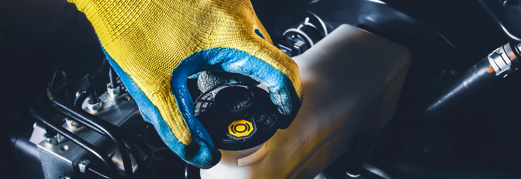 Brake Fluid Replacement in Classic Import Auto Service