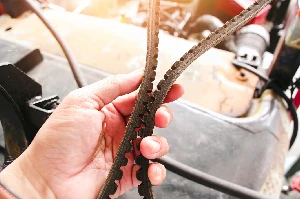 Timing Belt