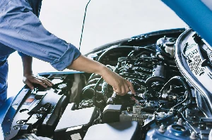 What is Transmission